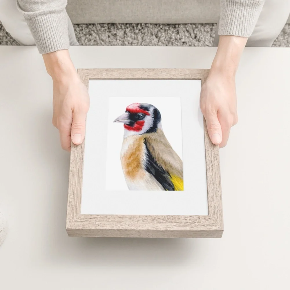 Watercolor Wall Art Goldfinch Bird Illustration Print Poster Unframed - Picture 9 of 9